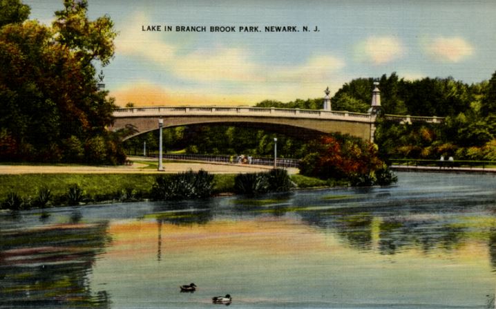 Postcard