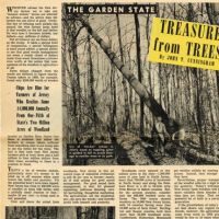 Untitled design (33)